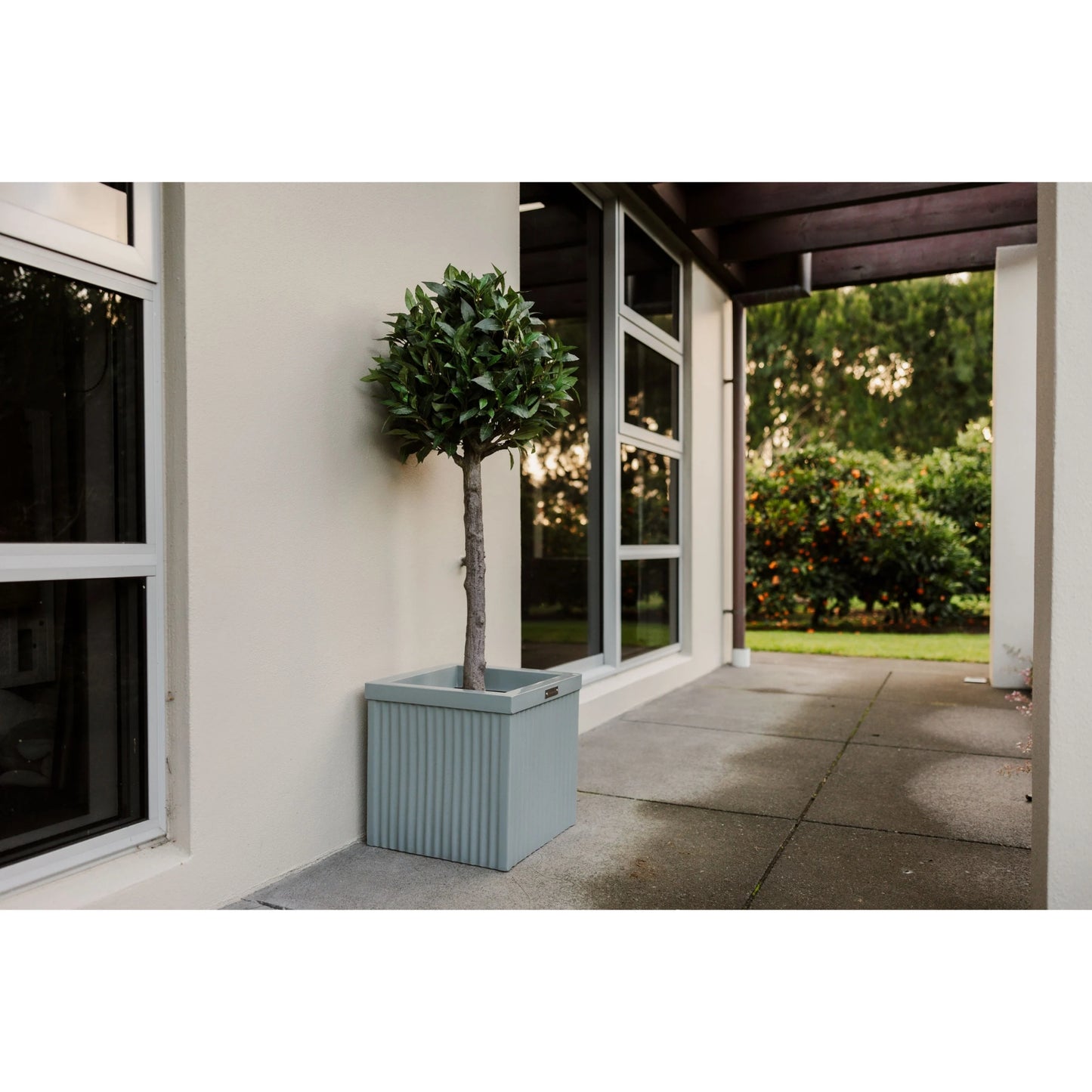 A square Modscene planter in front of a house planted with a bay tree.