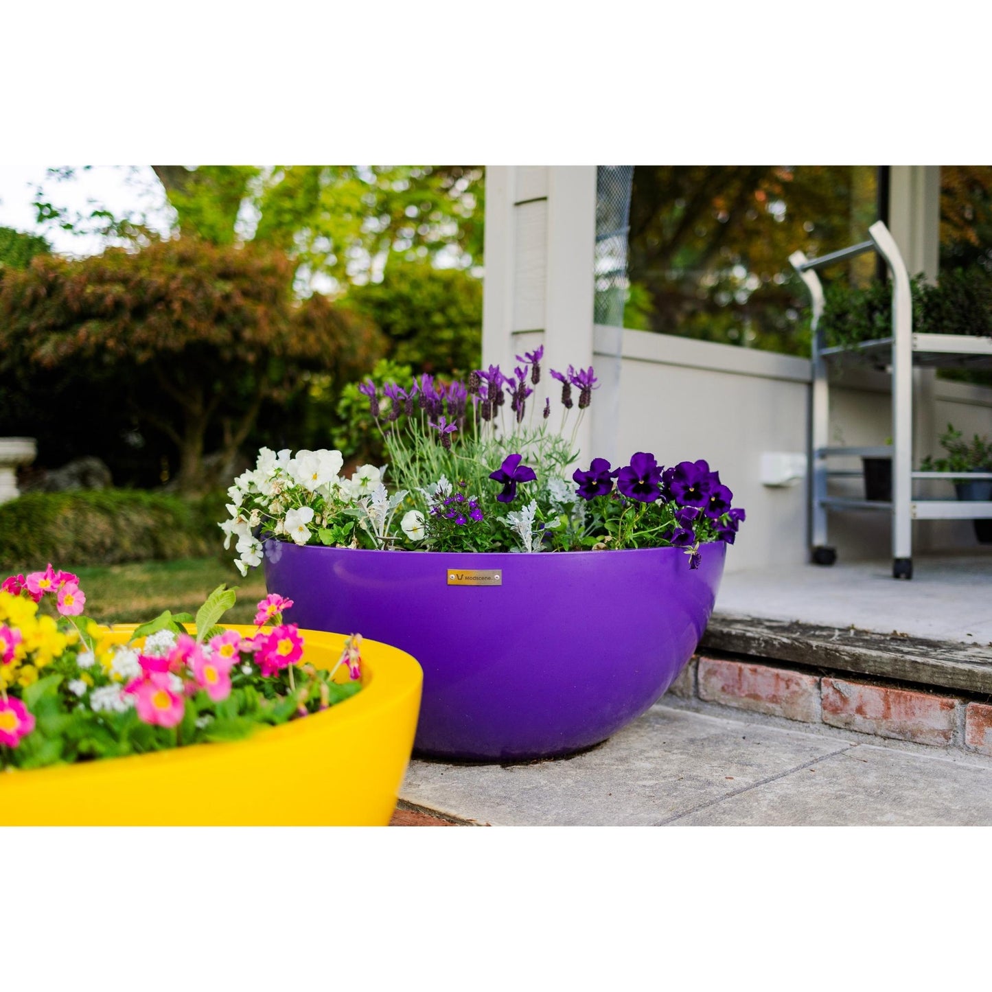 Modscene planter bowls sitting on stone steps in front of a house.