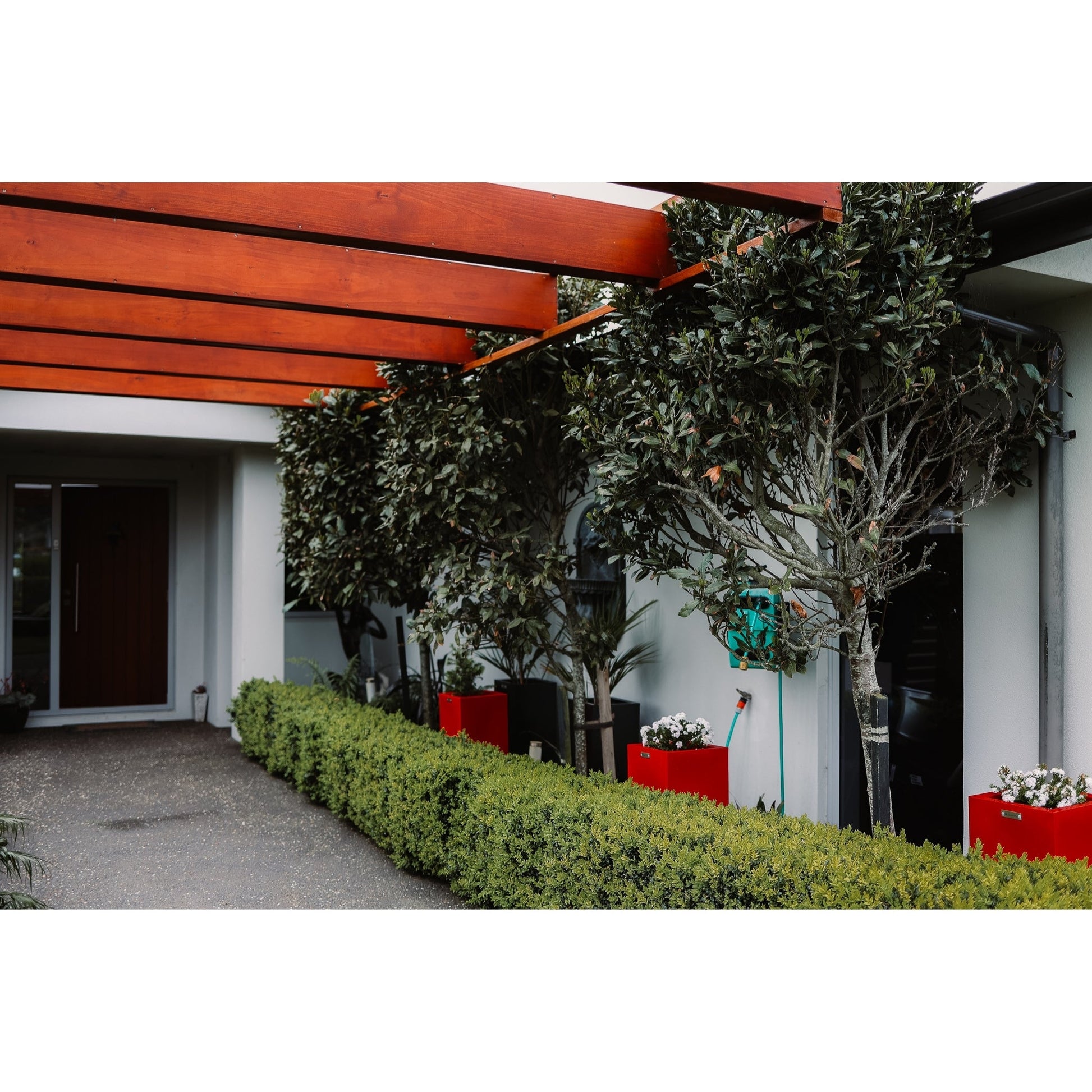 A row or red cube planters in a garden in front of a house.