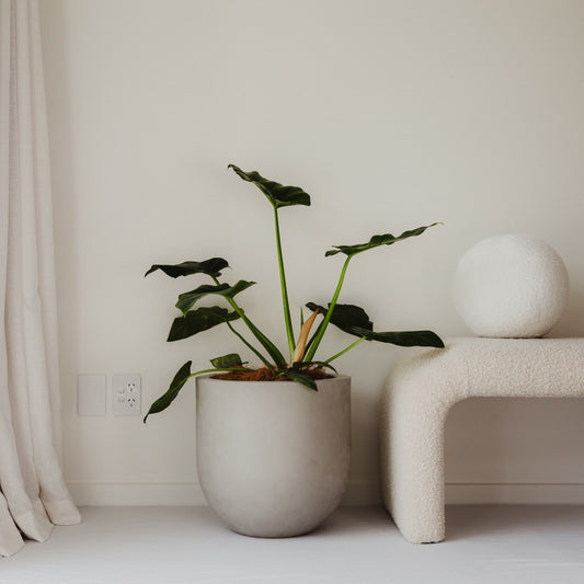 NEW MODEL: Lisbon 400 Planter. 40cm W x 40cm H.