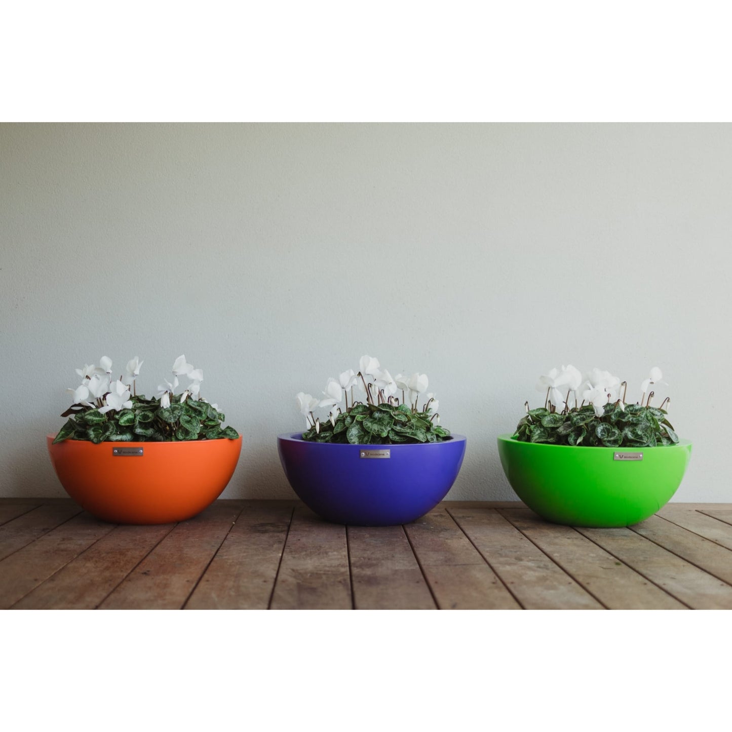 Colourful planter bowls by Modscene sitting on a deck.