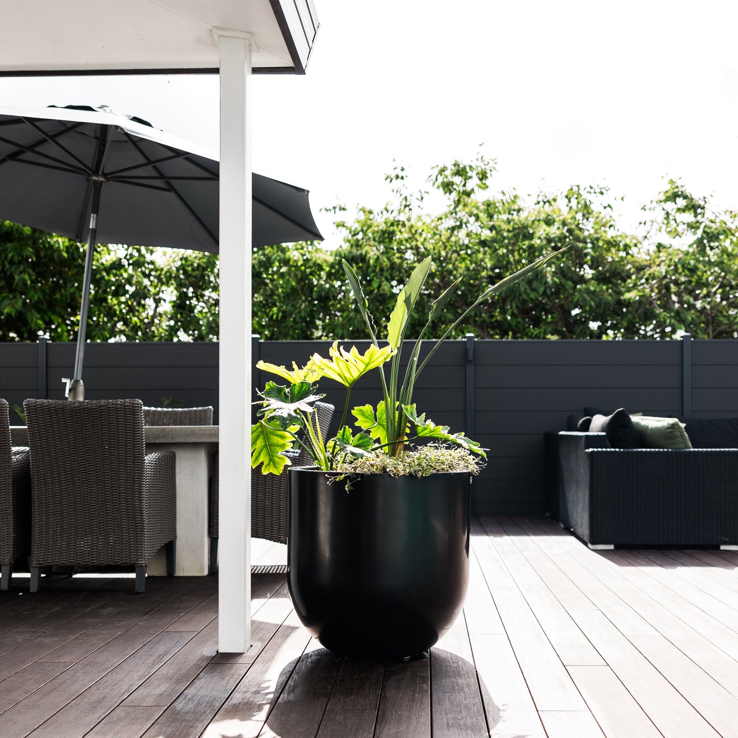 Lisbon 600 Planter. 60cm W x 60cm H.