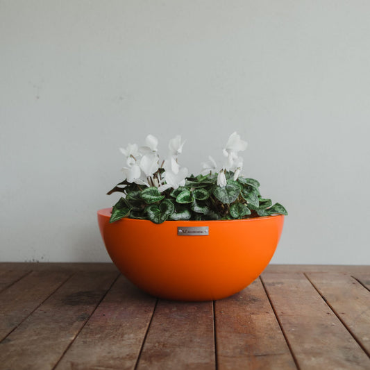 A Modscene planter bowl in orange sitting on a wooden deck.