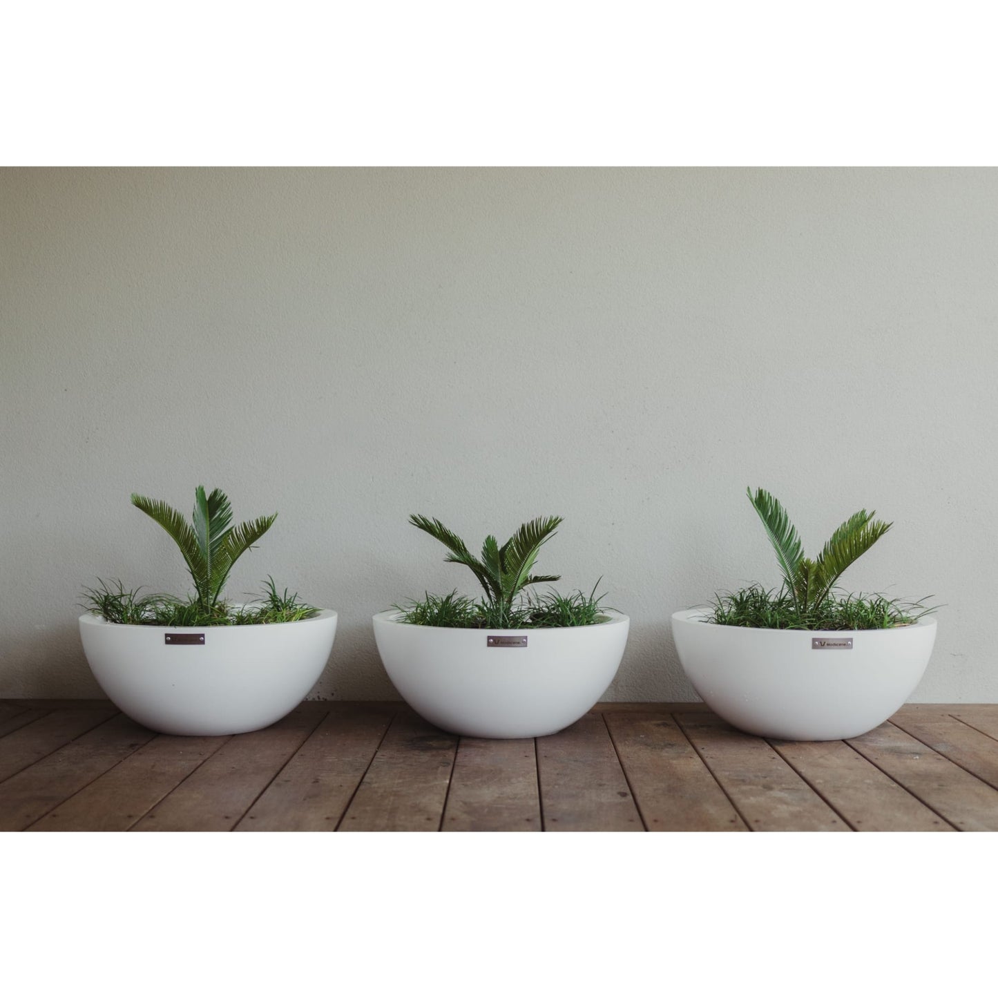 A cluster of three white planter bowls sitting on a wooden deck.