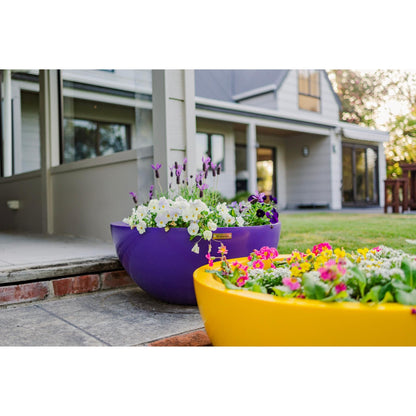 Two Modscene planter bowls in yellow and purple colours planted with beautiful flowers.