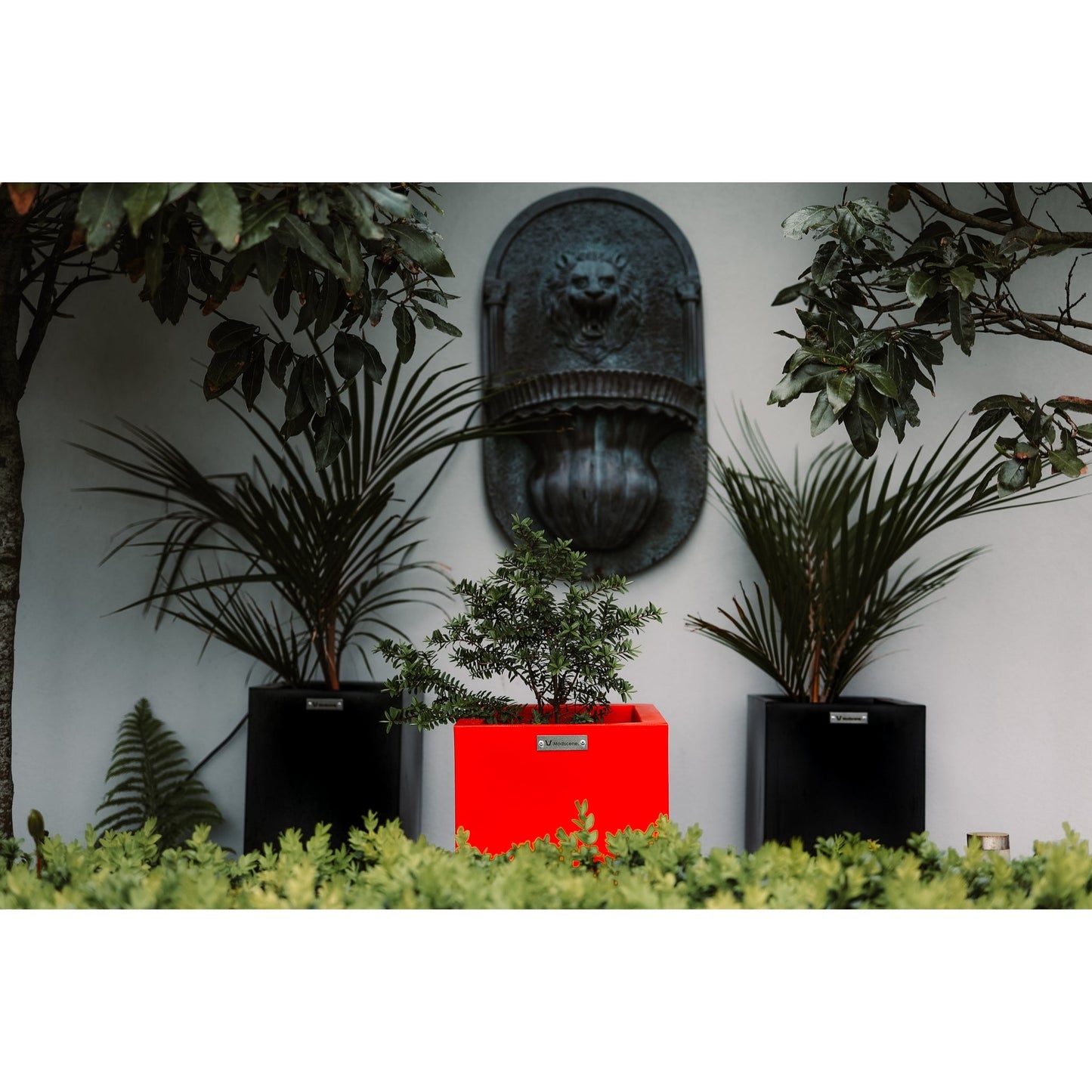 A cluster of three cube planters in black and red in a garden in front of a concrete wall.