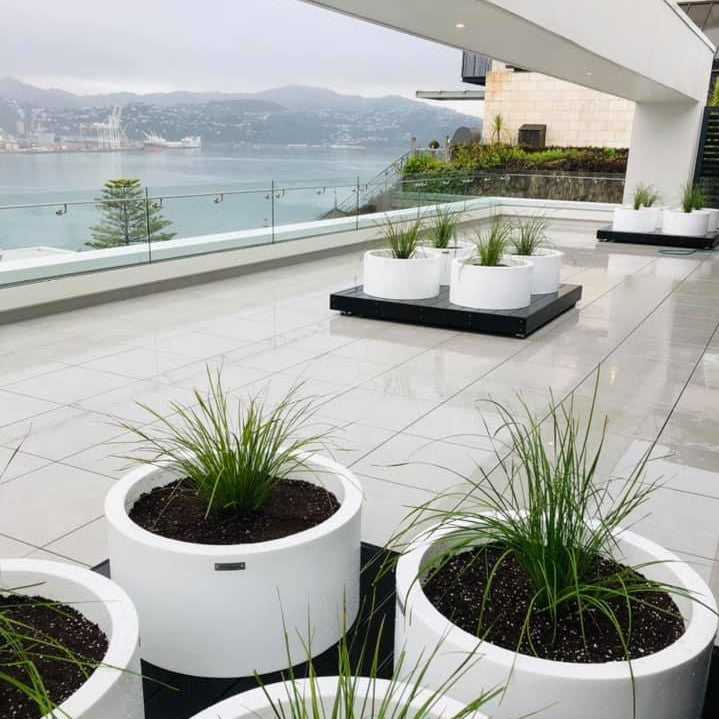 Modscene planters in white on a building rooftop in Australia.