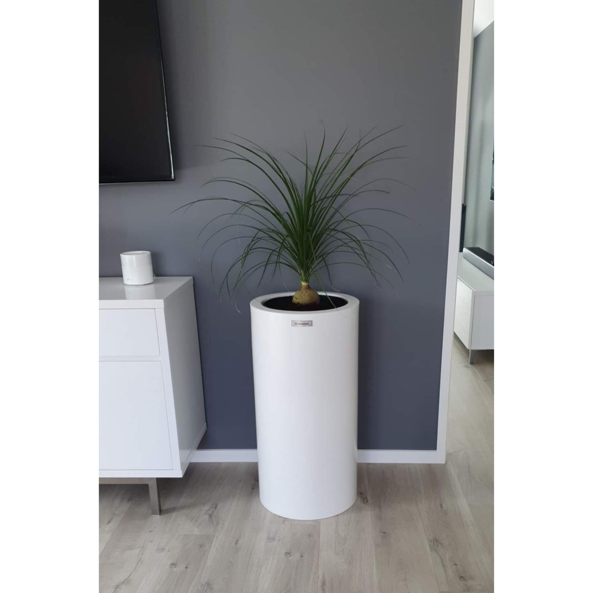 A white indoor cylinder planter made by Modscene.