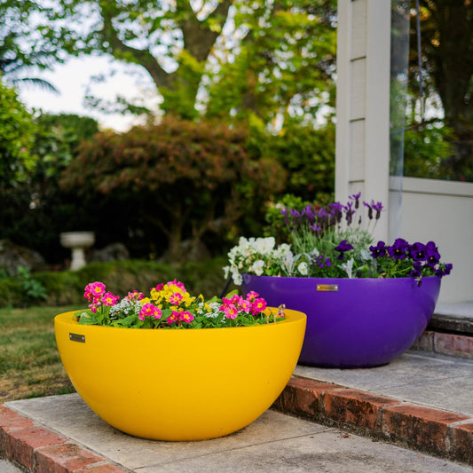 Large planter bowls in yellow and purple made by Modscene New Zealand.