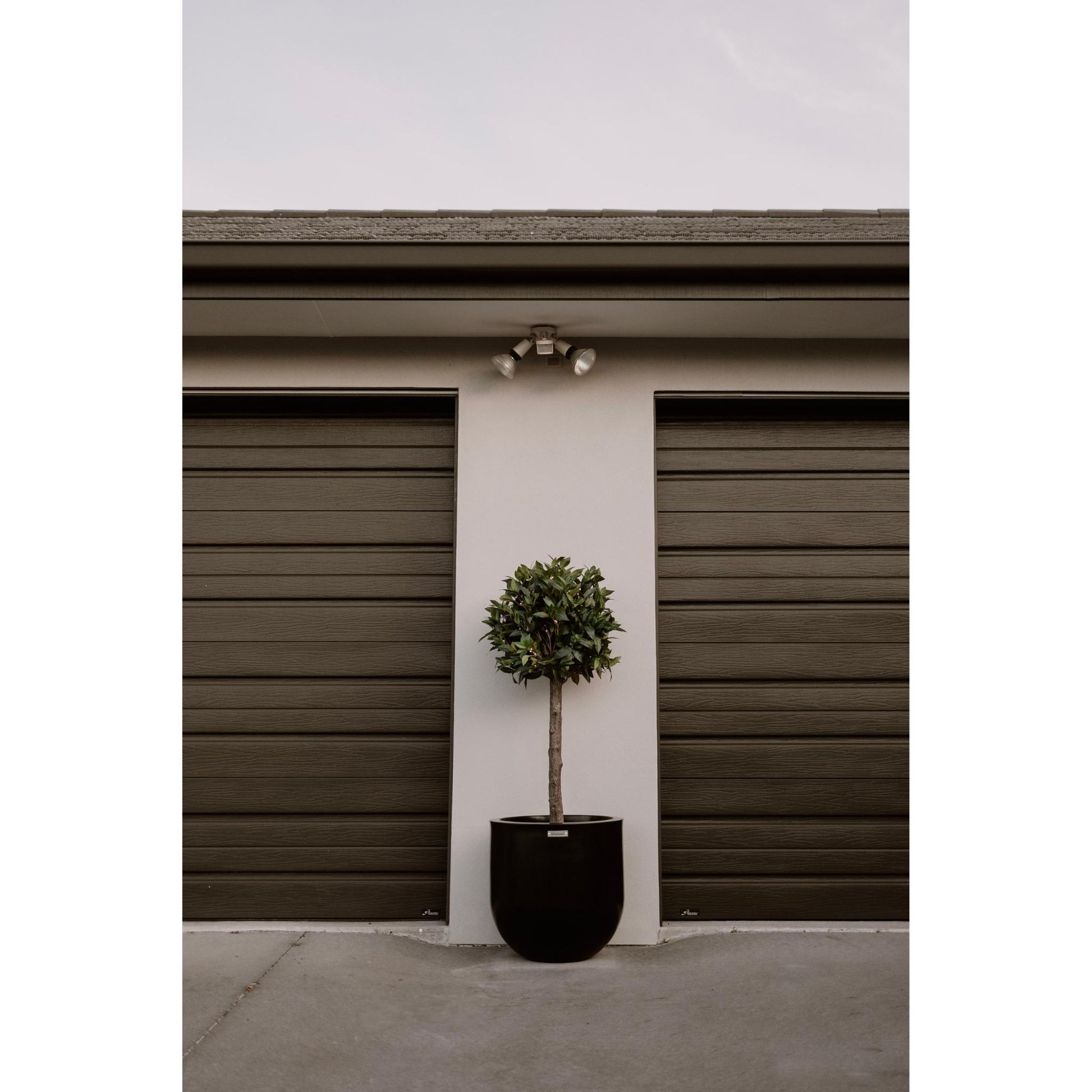 A black Modscene planter pot in front of a house planted with a bay tree.