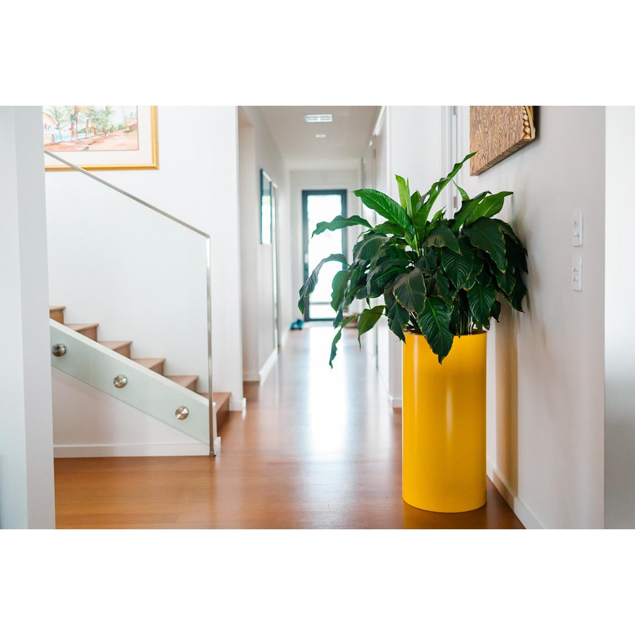 A yellow Modscene indoor planter. Modscene planters Australia.